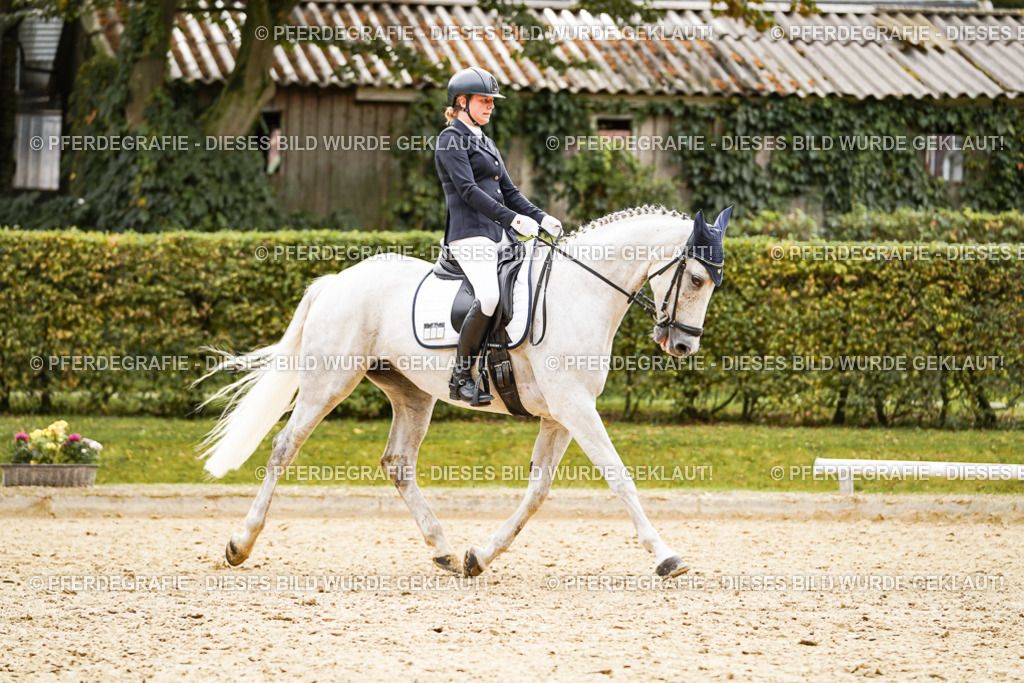 DSC02681 | Pferdegrafie