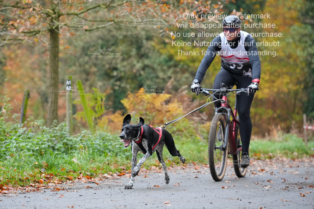 Bike_So-22 | stephaniefillaphotographie - Realisiert mit Pictrs.com