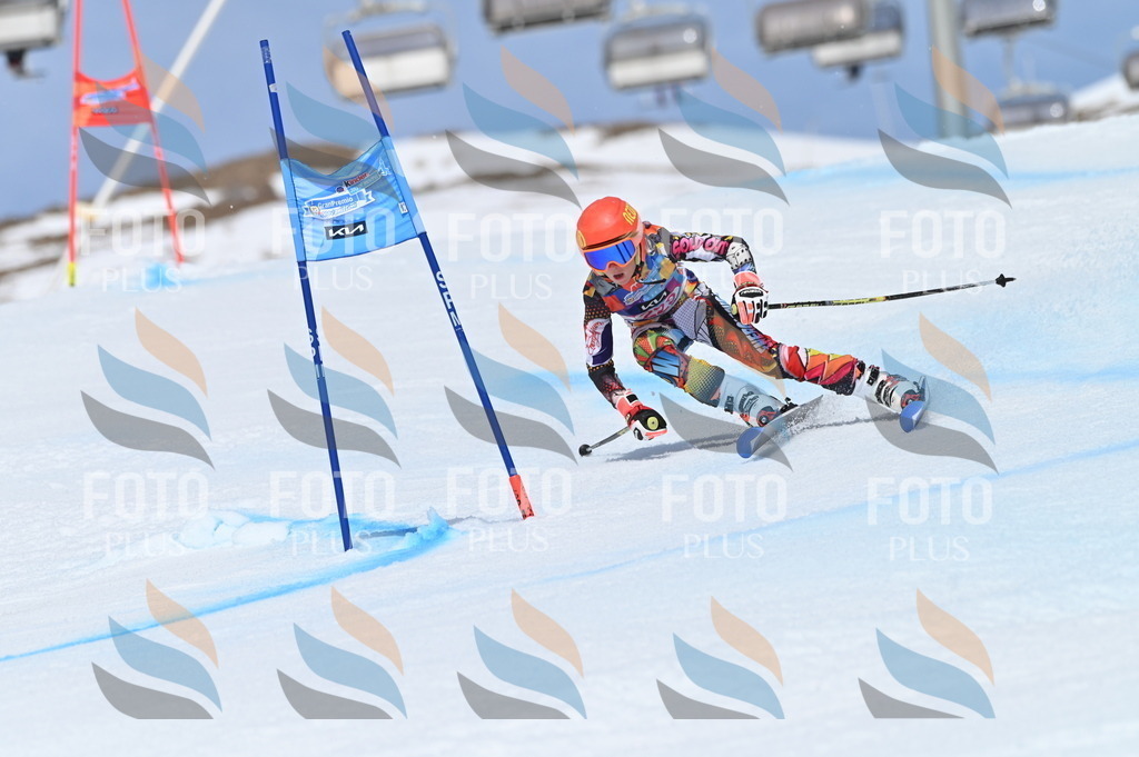 BGV_1483 | holidayphoto