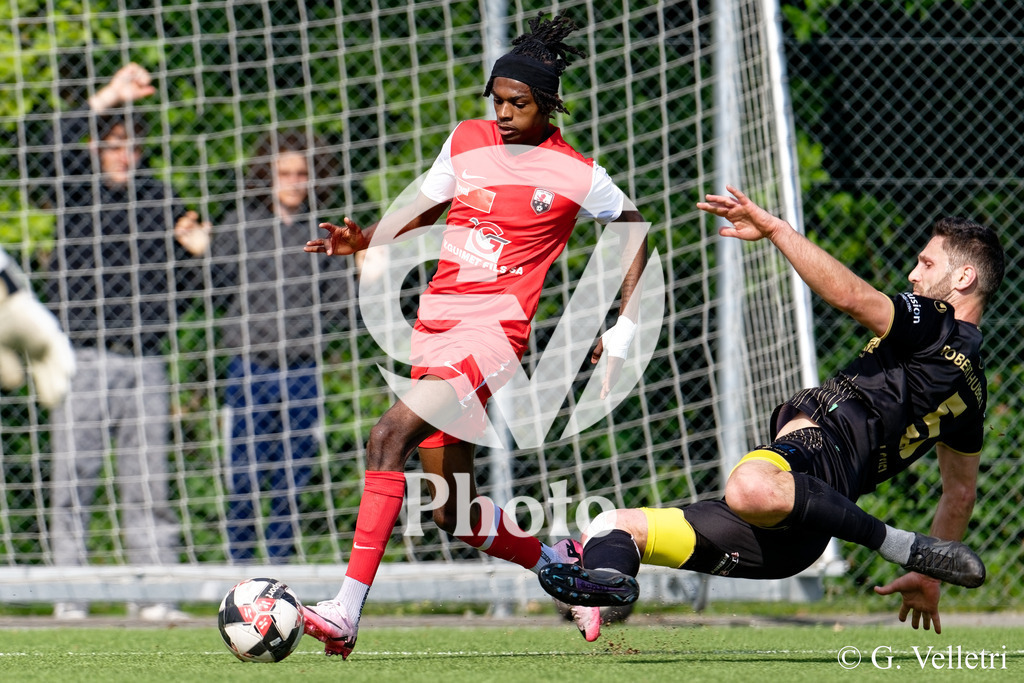 DSC_5569_M | Velletri Photo