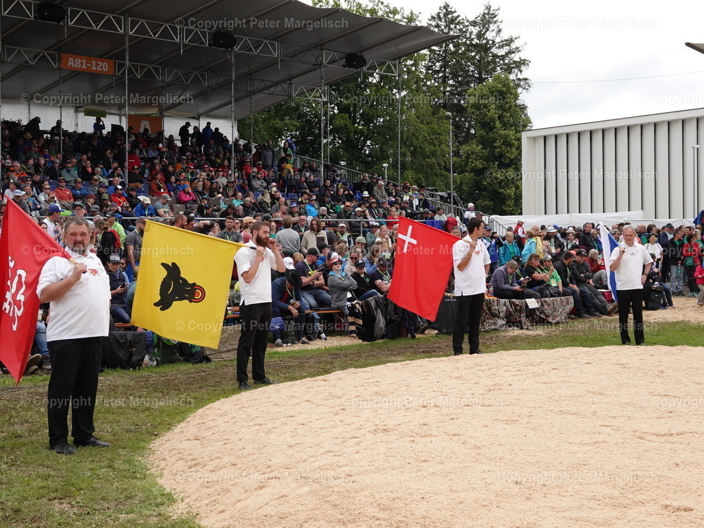 DSC08090 | Schwingen - Realisiert mit Pictrs.com