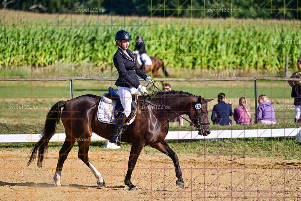 30 Jahre RFV Pulsnitz e.V., Pulsnitz am 09.08.2026 | Zur 28. breitensportlichen Veranstaltung des RFV Pulsnitz e.V. fanden verschiedene Wettbewerbe in nahezu allen Disziplinen des Pferdesport statt. - 04 Großer Dressur-Wettbewerb - Realisiert mit Pictrs.com