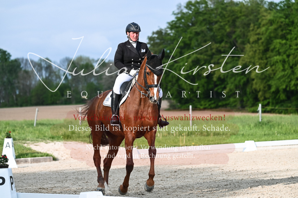 20230513_JK-Röhrsdorf-13-104 | Pferde- und Turnierfotografie in Westsachsen. Pferdeportraits, Auftragszeichnungen und intuitive Kunst.
