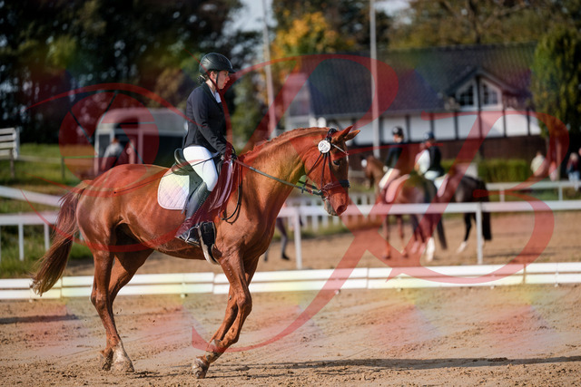 2026_10_03_Siefer-Hof_114202_Z63_23194575 | Professionelle Reitsport-, Turnier- und Eventfotografie von Robert Broda. Galerien mit ausgewählten und bearbeiteten Bildern direkt online ansehen und bestellen.