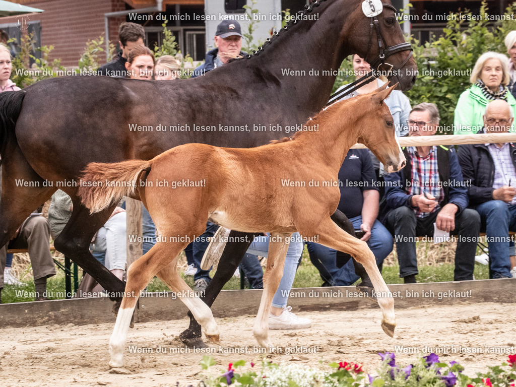 A10I9859 | photographylinaismer - Realisiert mit Pictrs.com