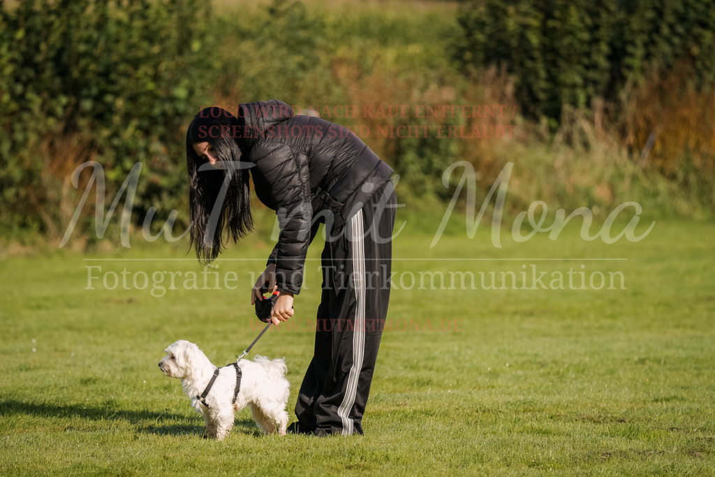 20250928_Hunderennen-7 | MuT (Mensch und Tier) mit Mona - Fotografie und Tierkommunikation - Realisiert mit Pictrs.com