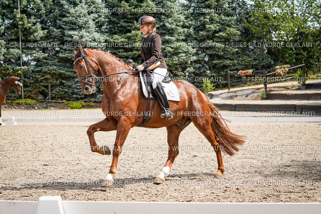 DSC09755 | Pferdegrafie