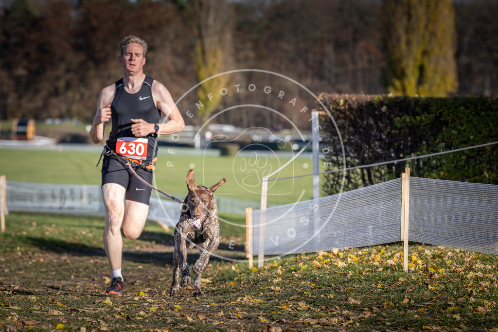 CaniXpix_DV3A0100 | Hundefotografie, Tierfotograf, Pfotenfotografie, Fotoshooting Hund, Hunde Portrait, Hundesport, Hundeportraits, Heideshooting, Hunde, Sportfotograf, Hundefotograf, Turnierhundsport, THS,  - Realisiert mit Pictrs.com