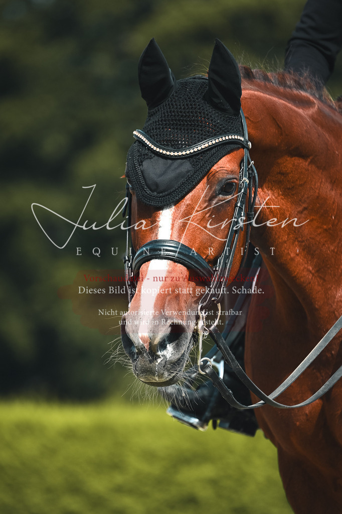 DSC_3288 | Pferde- und Turnierfotografie in Westsachsen. Pferdeportraits, Auftragszeichnungen und intuitive Kunst.