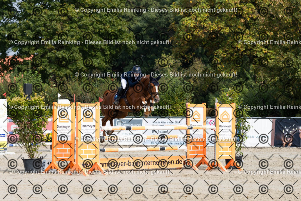 CL5A5116 | Emilia Reinking Fotografie - Realisiert mit Pictrs.com