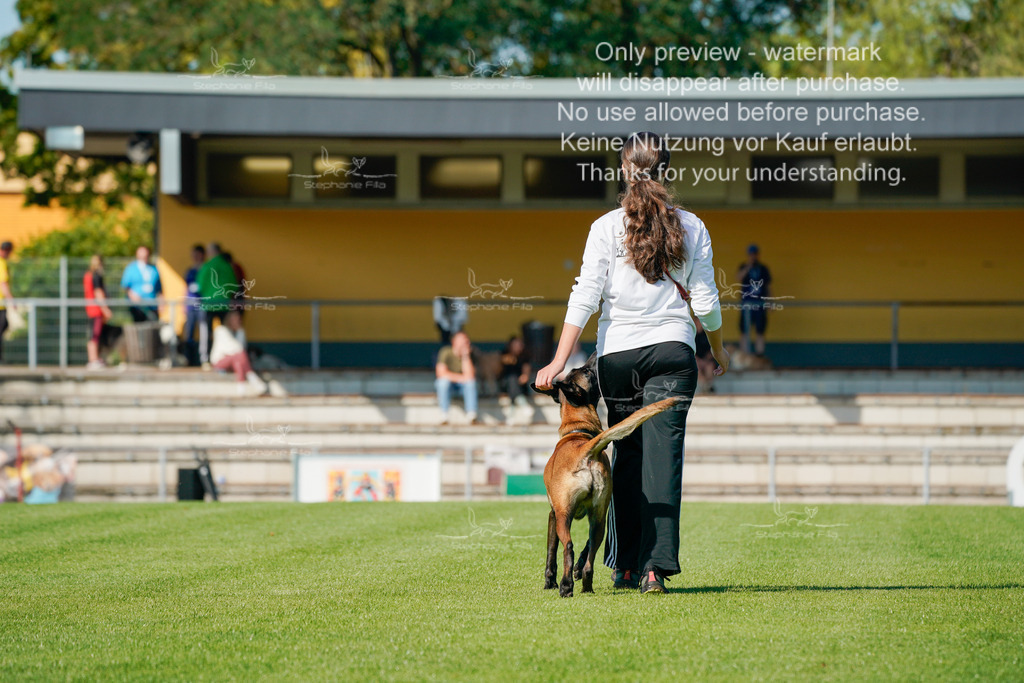 Samstag_Gehorsam_V2 (114) | stephaniefillaphotographie - Realisiert mit Pictrs.com