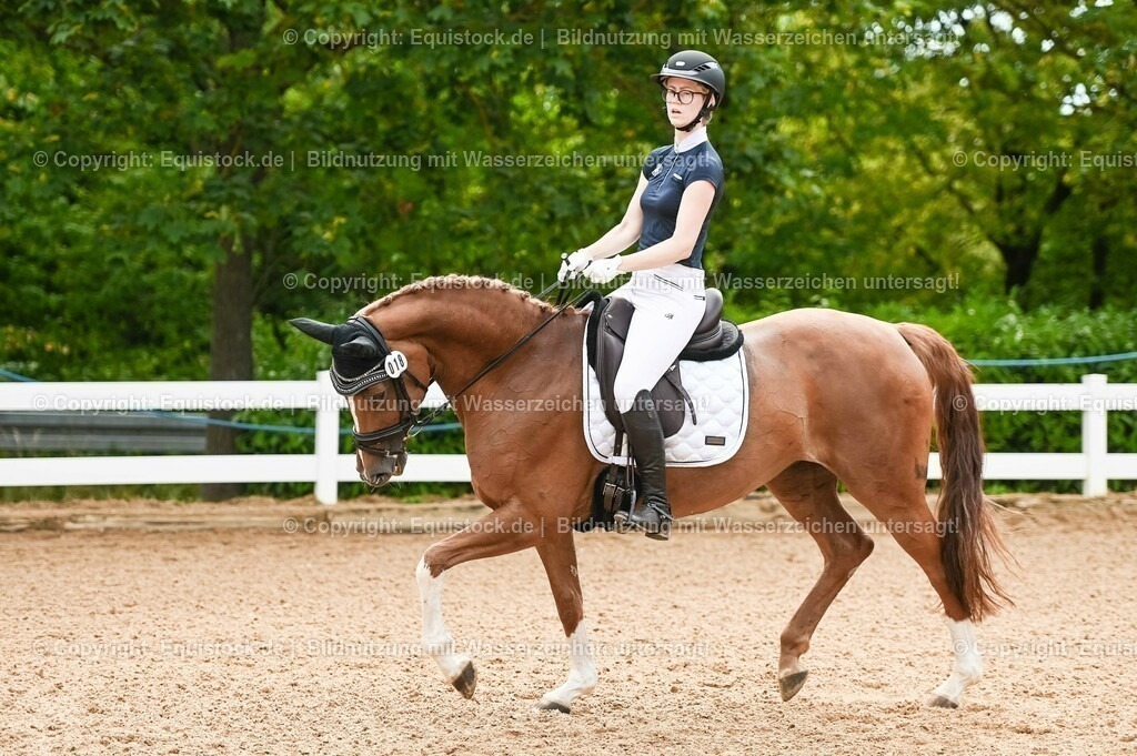 20230715_07_Dressurpferdeprfg. Kl.L_0078 | equistock