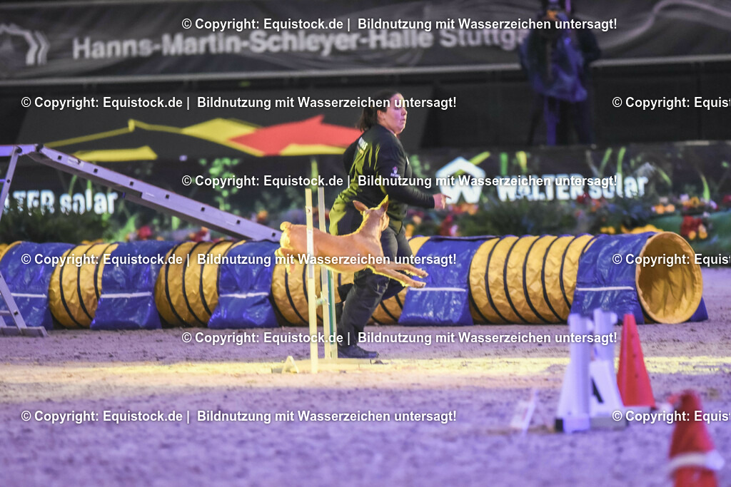 20231115_Dog-Agility_0134_TOMsPiC | Foto: Thomas Hartig