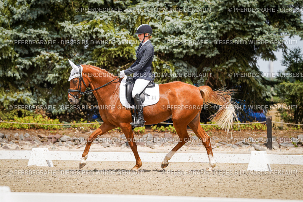 DSC03015 | Pferdegrafie