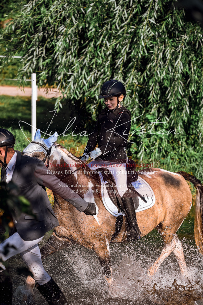 DSC_0341 | Pferde- und Turnierfotografie in Westsachsen. Pferdeportraits, Auftragszeichnungen und intuitive Kunst.