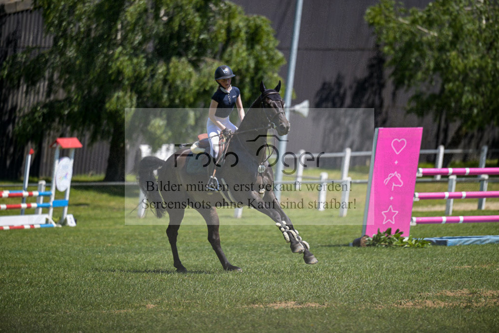 Reitturnier Voxtrup | Entdecke hochwertige Reitturnierfotos von Foto Oger. Professionell, emotional und authentisch – jetzt Lieblingsmomente im Shop bestellen. - Realisiert mit Pictrs.com