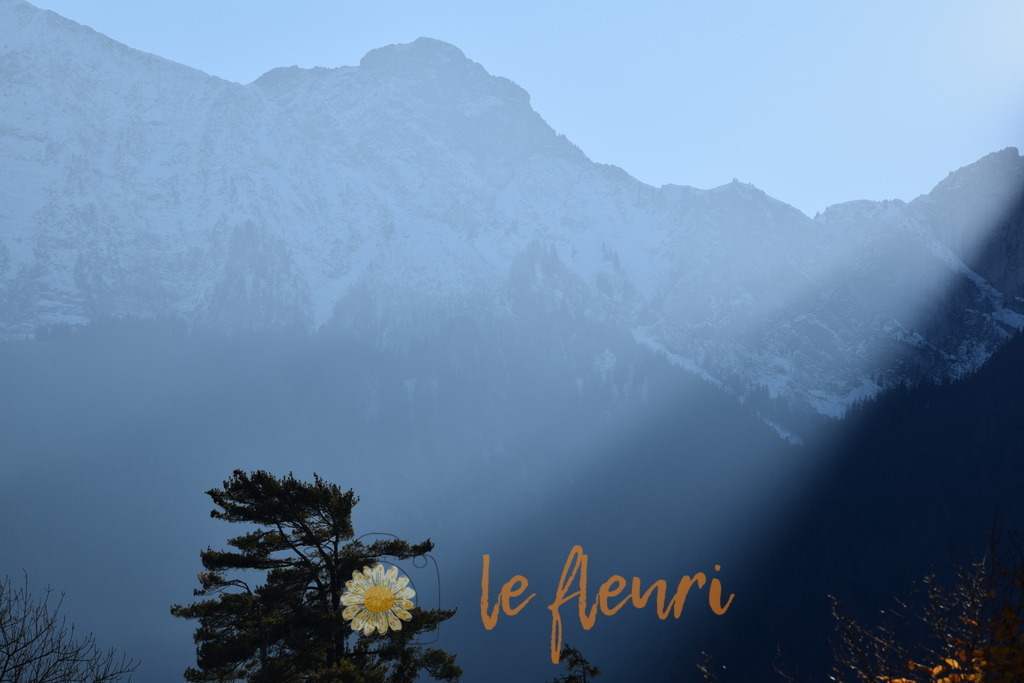 amsoldingen_061121 (33) | Dies ist der Shop von Florian Blum - le fleuri. Langenthal, Bern, Schweiz. Sie können hier meine oder ihre eigenen Fotos als Fotoprodukte kaufen. Tassen, Schlüsselanhänger, Taschen etc. können Sie hier gestalten.  - Realisiert mit Pictrs.com