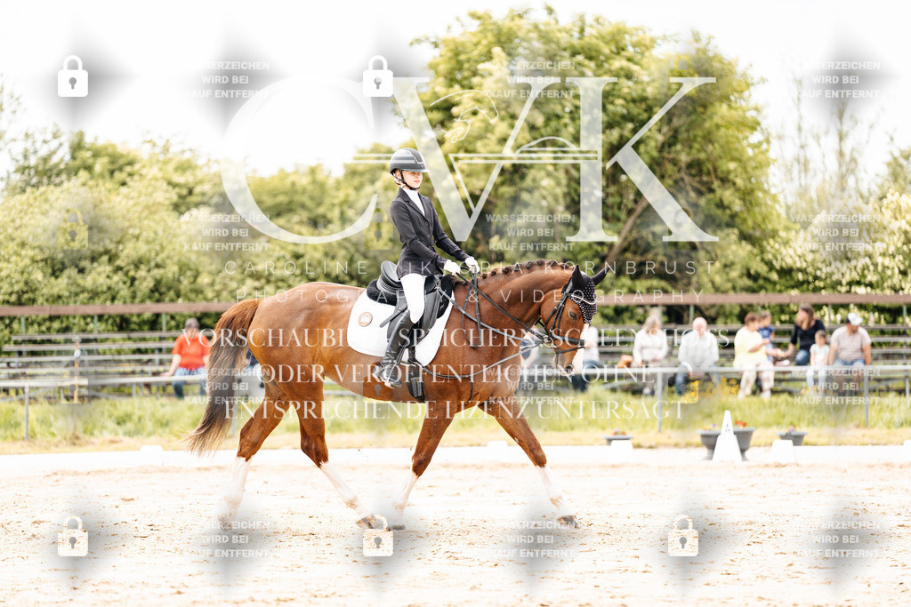 CK902936 | Turnierfotografie Pferdefotografie Trier Rheinland-Pfalz Pferdesport Reitsport Tierfotografie Sportfotografie Pferdevideo Pferdevideografie Equestrianvideography equestrianphotography  - Realisiert mit Pictrs.com