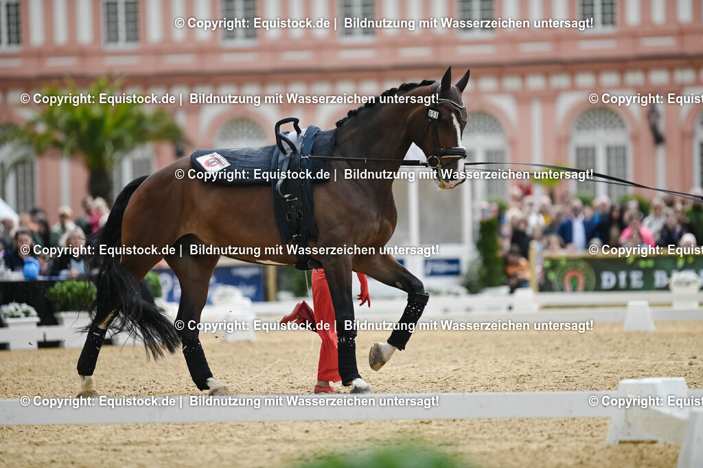 20250608_CVI-Masterclass_0159 | Foto: Thomas Hartig