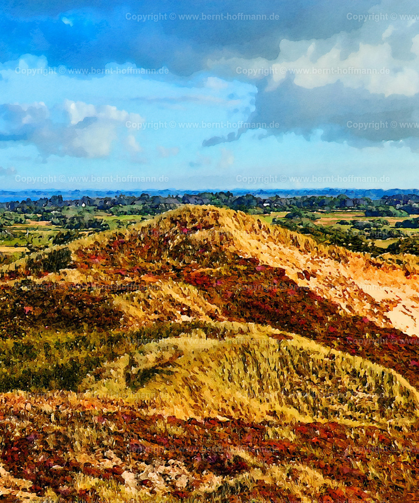 PDM2_0722_Kampen_100x120 | DIGITALKUNST. Sanddünen in Kampen auf Sylt. __ Dünen mit Gräsern und blühender Heide in Kampen auf der Insel Sylt unter  Wolkenkimmel. Blick von der " Uwe -Düne " Richtung Südost. - Realisiert mit Pictrs.com