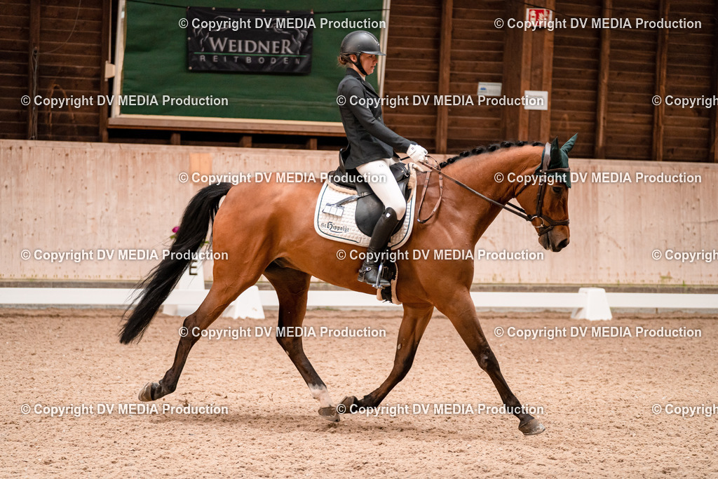 Dressur Tag 2-151 | dv-media-shop - Realisiert mit Pictrs.com