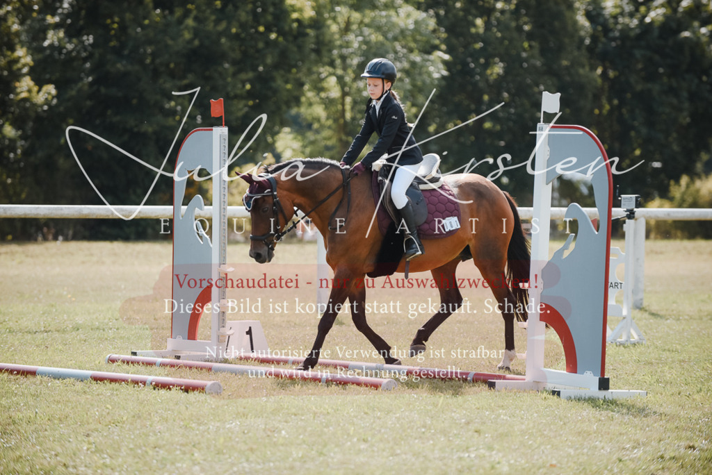 DSC_5410 | Pferde- und Turnierfotografie in Westsachsen. Pferdeportraits, Auftragszeichnungen und intuitive Kunst.