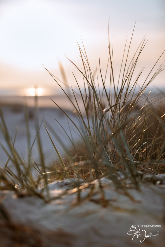 20240508-201842 NORDSEE SPO _338-1 | Herzlich willkommen auf meiner Seite! Ich bin Elke Wallnisch, Deine Fotografin für lichtstarke Momente. Der Name steht für alles, was mich mit der Fotografie verbindet: Das Licht und seine machtvolle Wirkung auf eine Situation oder unsere Stimmung - Realisiert mit Pictrs.com