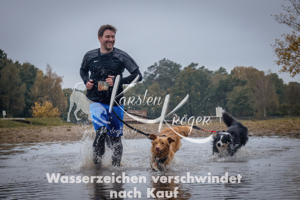 1211_ZZ98682 | kk-dogfotos