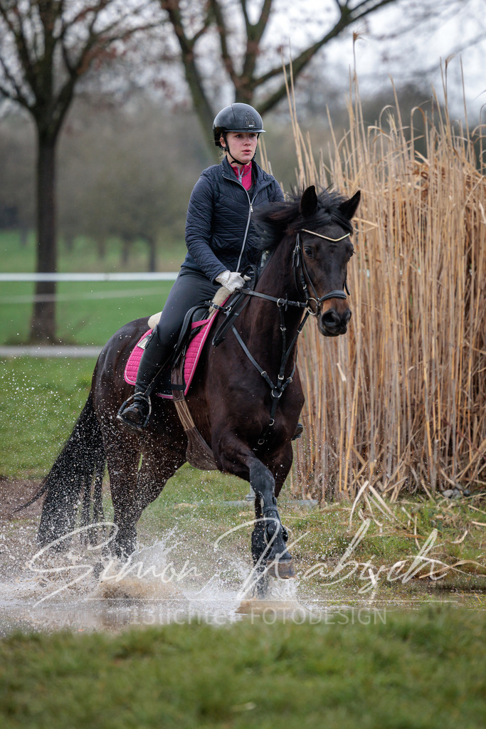 20260329-_3LI4134 | Tierfotografie Pferde, Hunde, Katzen, Haustiere.
Turnierfotografie Reitturniere, Reiten, Springreiten, Dressur in Hanau, dem Main-Kinzig-Kreis und dem Rhein-Main- Gebiet um Frankfurt
