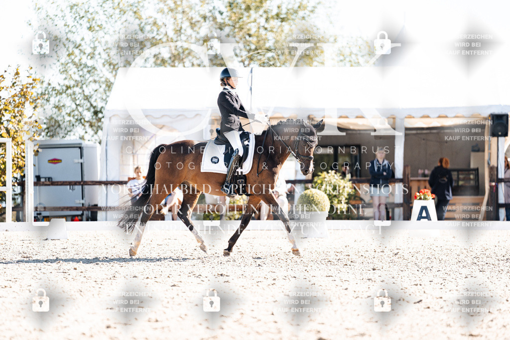 CK908536 | Turnierfotografie Pferdefotografie Trier Rheinland-Pfalz Pferdesport Reitsport Tierfotografie Sportfotografie Pferdevideo Pferdevideografie Equestrianvideography equestrianphotography  - Realisiert mit Pictrs.com