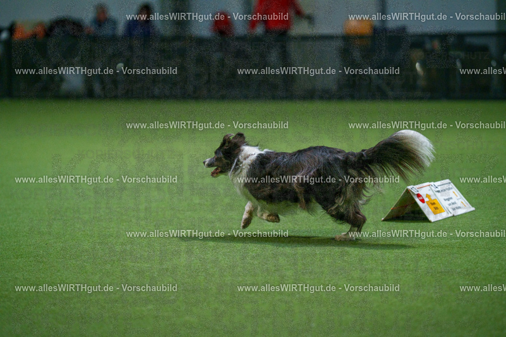 7R500270 | Professionelle Tierfotografie in Mönchengladbach von Daniel Wirth (allesWIRTHgut). Liebevolle & natürliche Bilder von Hunden & Katzen für unvergessliche Erinnerungen.