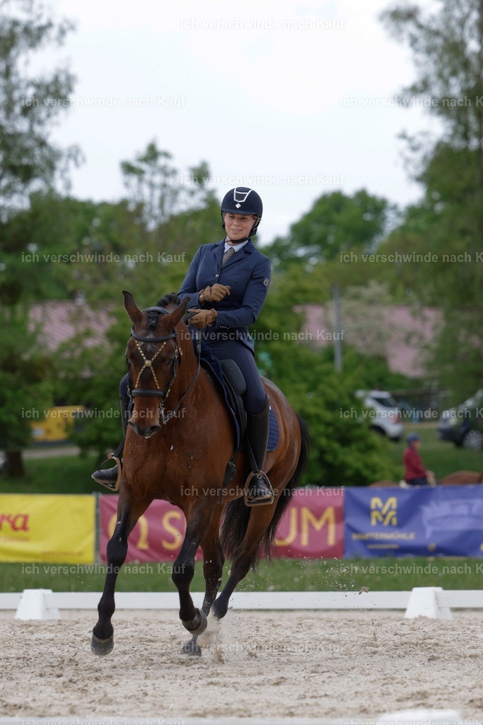 PI26_DR_259_Stoibphotography_AM10850.jpg | working equitationturnier fotograf videograf stoibphotography marixx film working equitation deutschland reitsport turnierfotografie eventfotografie equestrian events