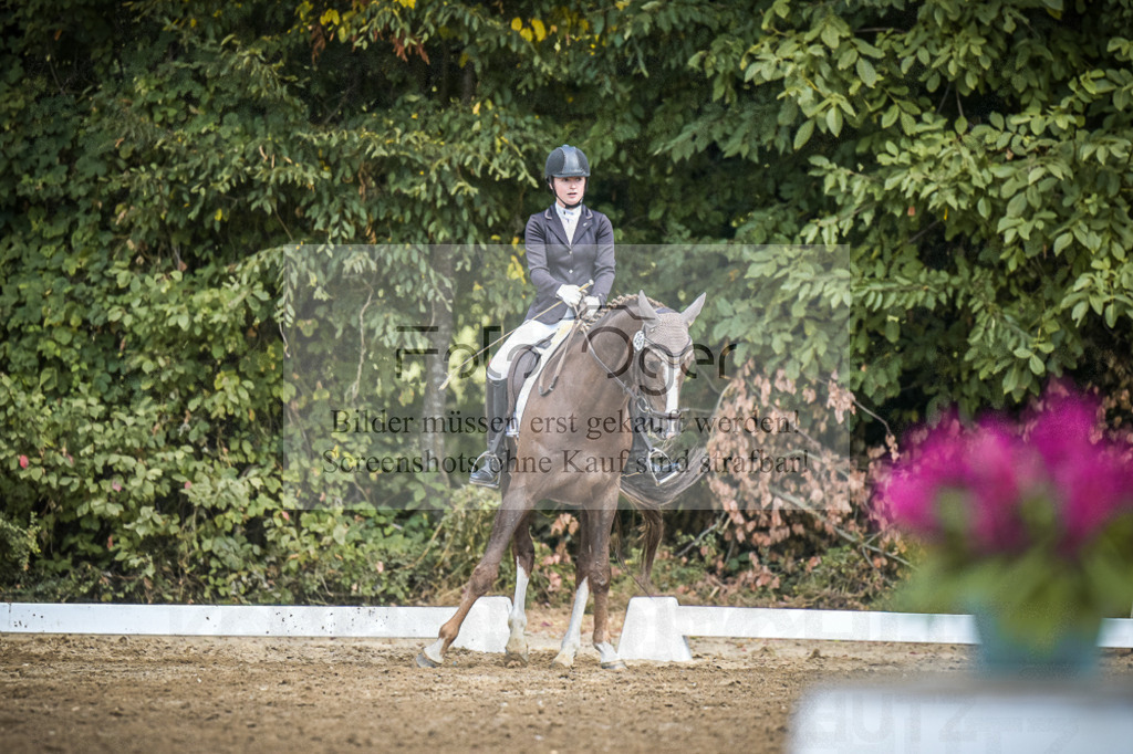 DOS_4998 | Entdecke hochwertige Reitturnierfotos von Foto Oger. Professionell, emotional und authentisch – jetzt Lieblingsmomente im Shop bestellen.Deutschlandweite Turnierfotografie. - Realisiert mit Pictrs.com