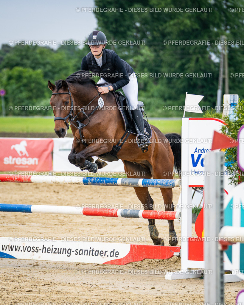 DSC05122 | Pferdegrafie