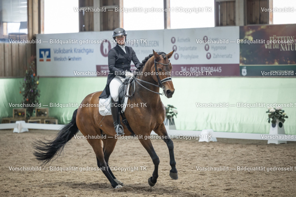 _D5A6366 | Emotionale Pferde- & People-Fotografie rund um Heidelberg, Leimen & Umgebung. Natürliche Fotos von Pferd, Mensch & Familie. Jetzt Termin sichern!