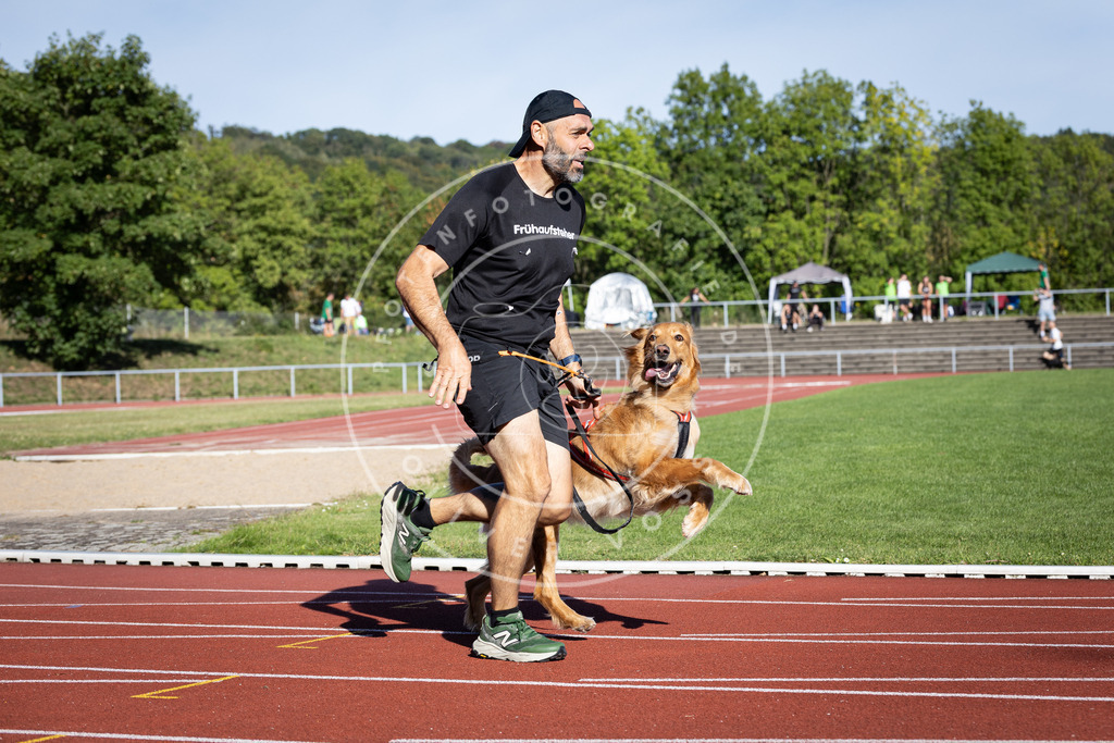 Pfotenfotografie_DV3A9684 | Hundefotografie, Tierfotograf, Pfotenfotografie, Fotoshooting Hund, Hunde Portrait, Hundesport, Hundeportraits, Heideshooting, Hunde, Sportfotograf, Hundefotograf, Turnierhundsport, THS,  - Realisiert mit Pictrs.com