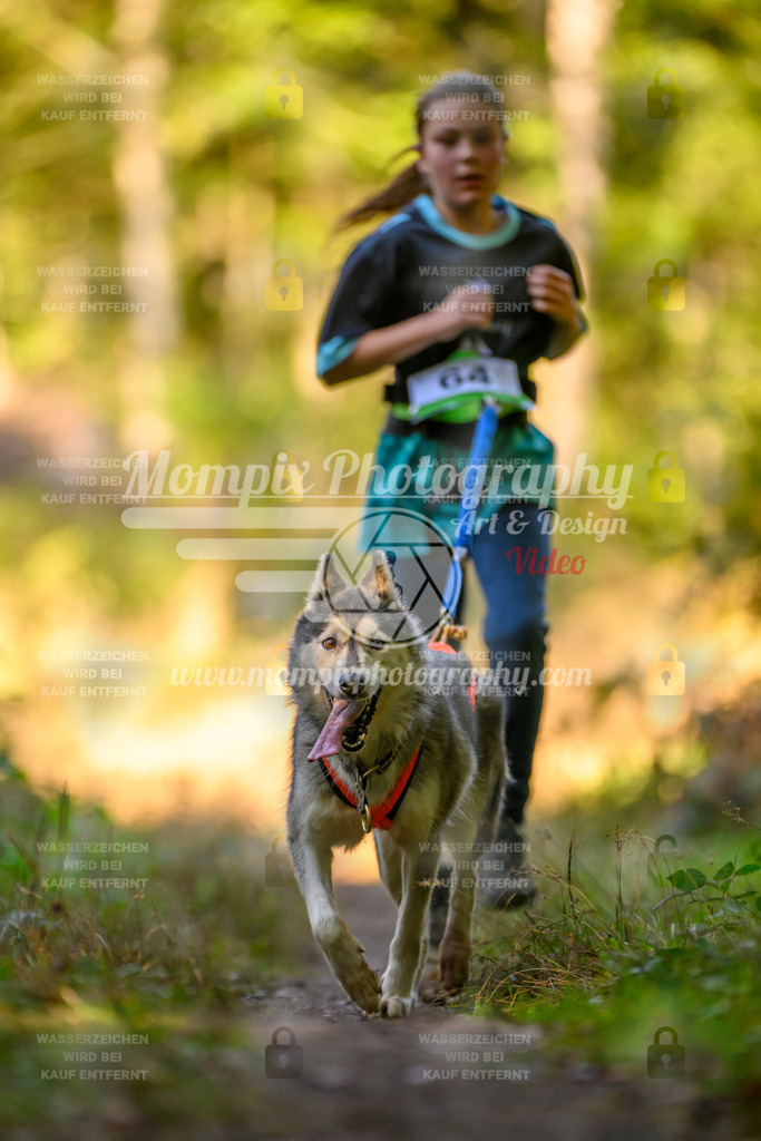 MompixPhotography_Yens2025_B3-120 | PayLife