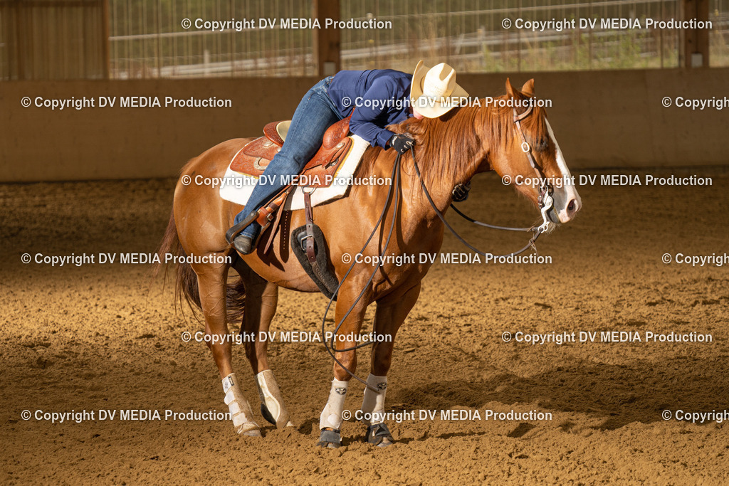 LAU00898 | dv-media-shop - Realisiert mit Pictrs.com