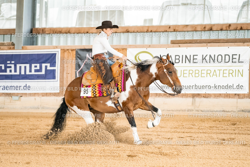 DSC01921 | Pferdegrafie