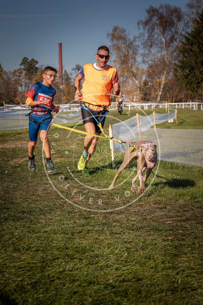 CaniXpix_0L8A7478 | Hundefotografie, Tierfotograf, Pfotenfotografie, Fotoshooting Hund, Hunde Portrait, Hundesport, Hundeportraits, Heideshooting, Hunde, Sportfotograf, Hundefotograf, Turnierhundsport, THS,  - Realisiert mit Pictrs.com