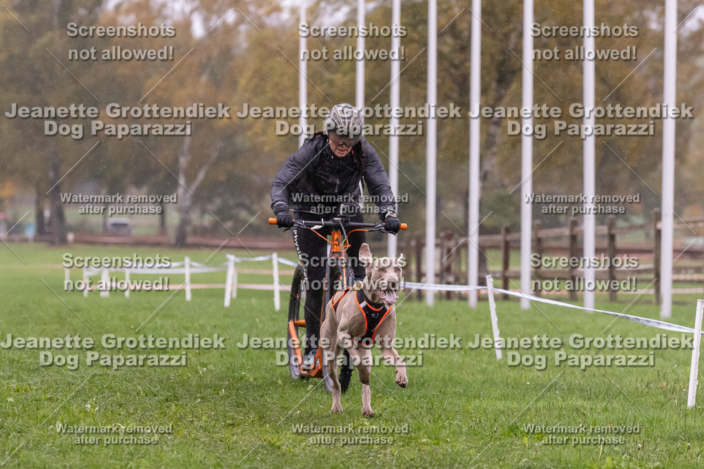 Dog Paparazzi - SD CaniX Championship 2025-902 | Dog Paparazzi Jeanette Grottendiek Fotografie & Videografie - Realisiert mit Pictrs.com