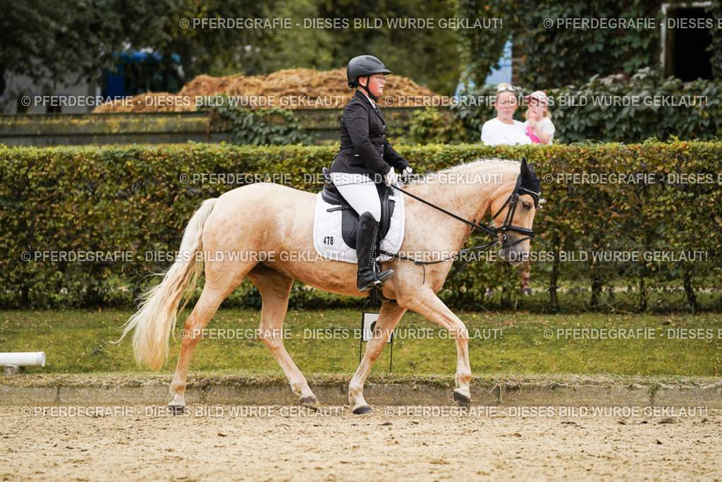 DSC00163 | Pferdegrafie