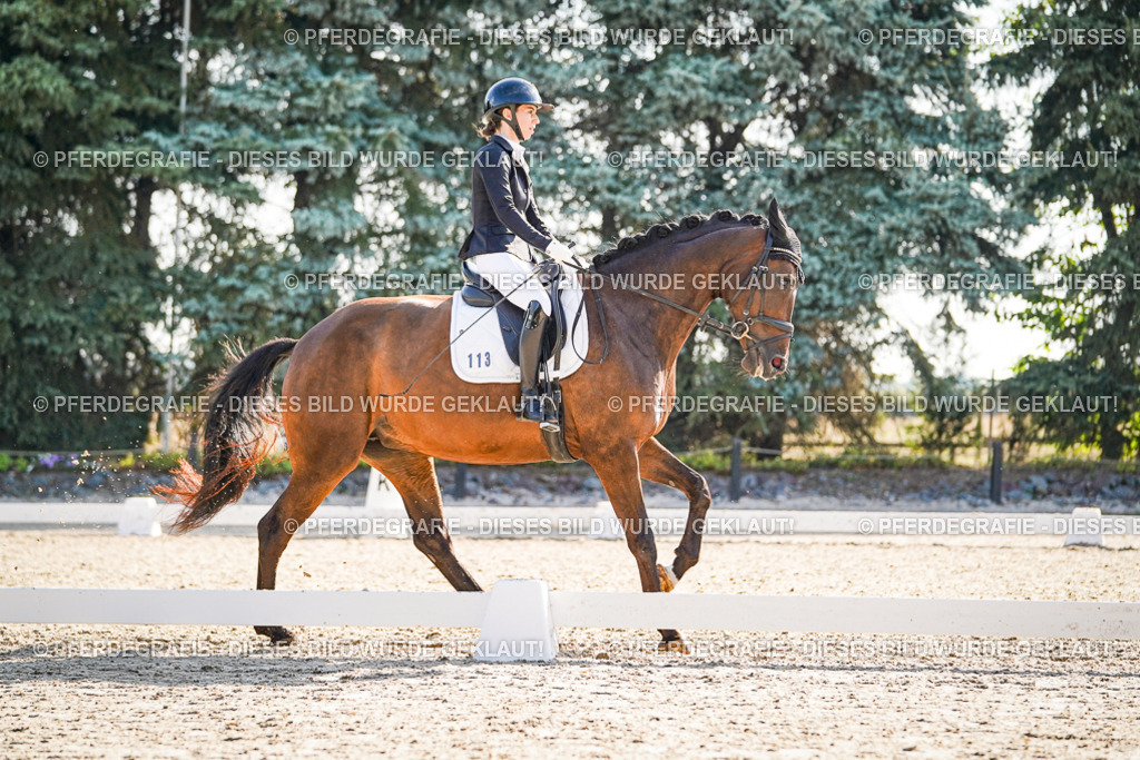 DSC09406 | Pferdegrafie