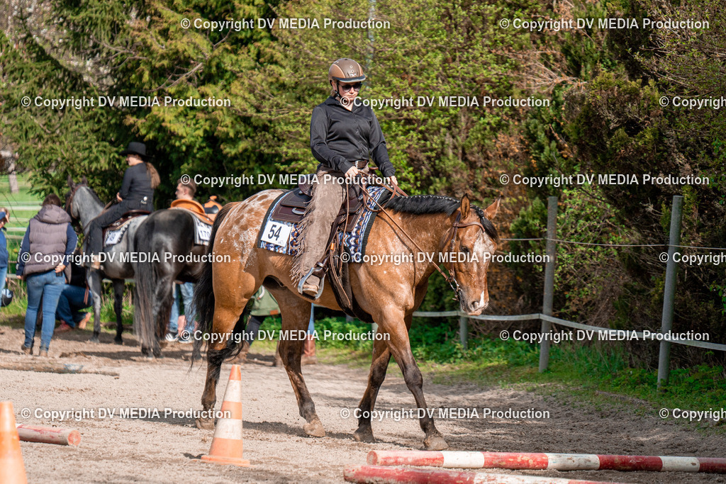 BAL02775 | dv-media-shop - Realisiert mit Pictrs.com