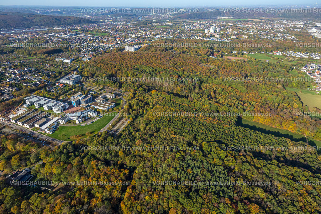 Hagen221018216 | Luftbild, FernUniversität Hagen, Fleyer Wald in Herbstfarben, Hochschulviertel,  Polizeipräsidium Hoheleye, Altenhagen, Hagen, Flyer Wald, Ruhrgebiet, Nordrhein-Westfalen, Deutschland