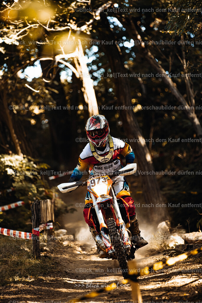 E68A5585 | blick_win_kel