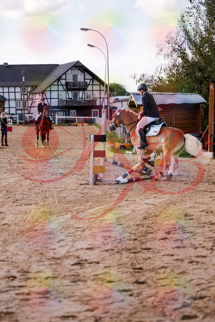 2026_10_03_Siefer-Hof_145517_Z81_35905667 | Professionelle Reitsport-, Turnier- und Eventfotografie von Robert Broda. Galerien mit ausgewählten und bearbeiteten Bildern direkt online ansehen und bestellen.