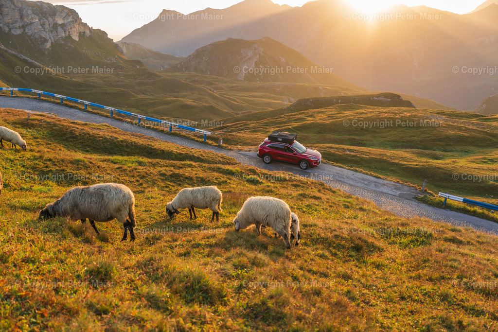 Inter_Trade_2023-624 | piet_flosse