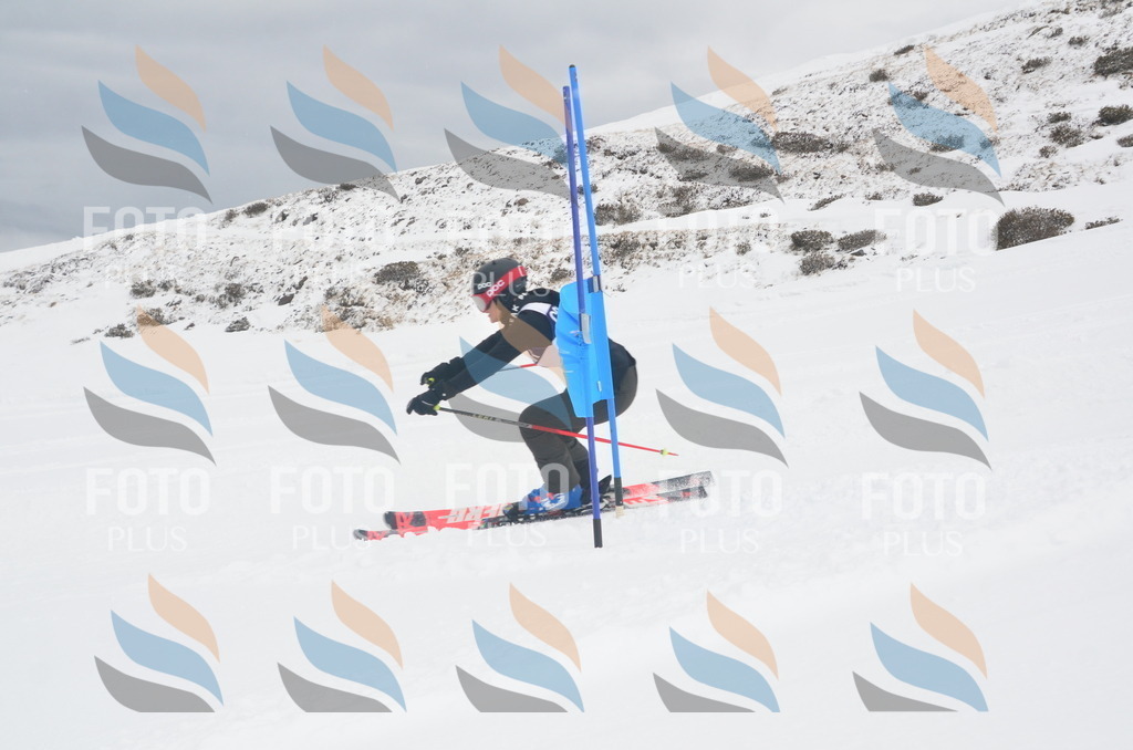 A5844 | holidayphoto