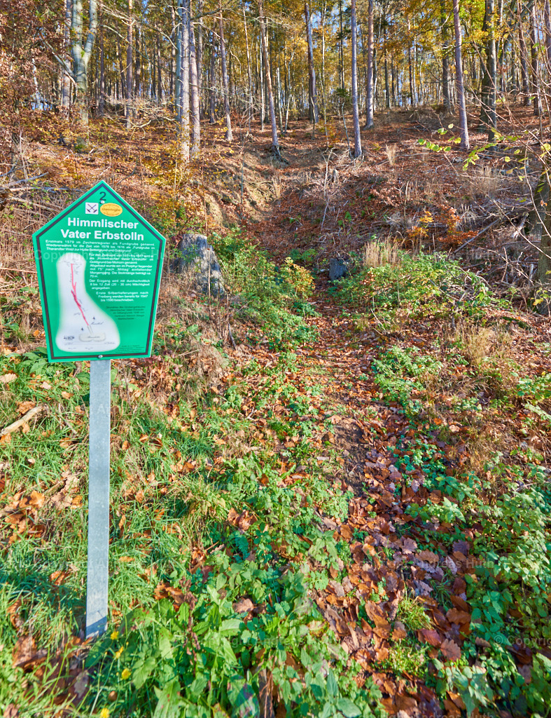 Bergbauspuren in Mohorn-Grund_ Alte Stolleneingänge 02 | Bedeutsame Landschaften Deutschlands - Realisiert mit Pictrs.com
